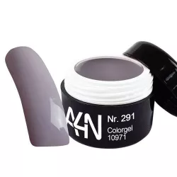 Gel couleur 291 Dove