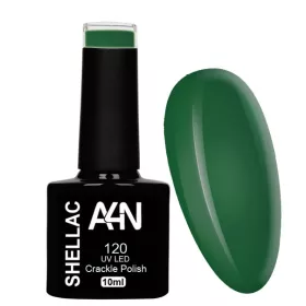 Vernis Permanent Shellac 120